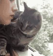 疫情期间别对猫咪做这件事，猫易无症状感染新冠病毒(图9)