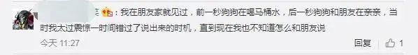 小姐姐亲猫，脸上竟长了「脚气」！养宠这些卫生问题千万别忽略(图4)