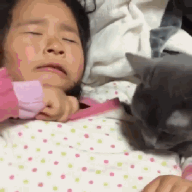 猫咪是不是有灵性？我生病了，猫就在身边安慰(图5)