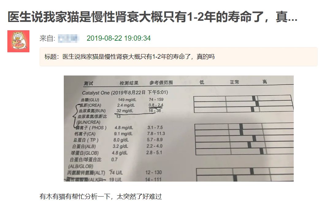 猫咪吃渴望和爱肯拿也差点肾衰！宠物医生教你怎么保养预防(图3)