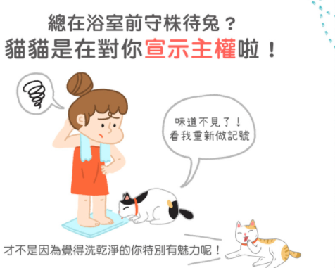 猫咪总在浴室外等你洗好澡，是因为好色吗？知道真相后我不禁笑了(图2)
