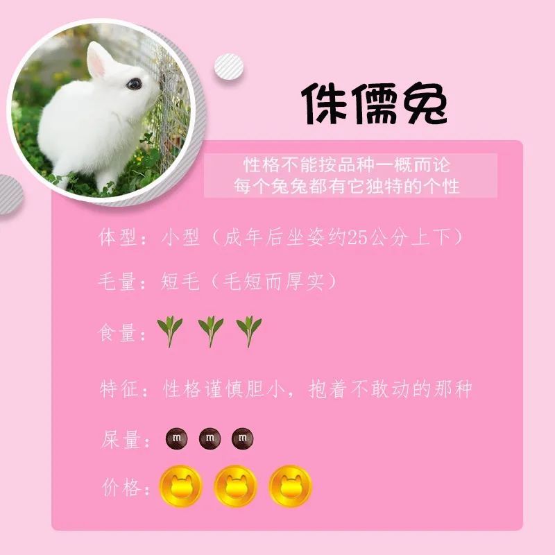 若你内心不够强大，千万不要去养兔子(图5)