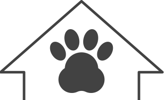 猫咪把米桶当猫砂盆，埋得太深几天后才发现！怎样教育做坏事的猫(图12)