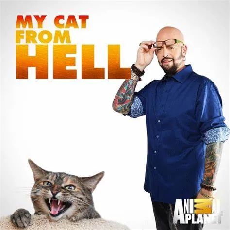 让猫咪像人一样蹲厕所是害猫！多久铲屎一次对猫最好？(图4)