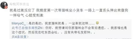 送猫咪去洗澡，竟被吓得尿结石！学会这些方法避免猫咪应激生病(图7)