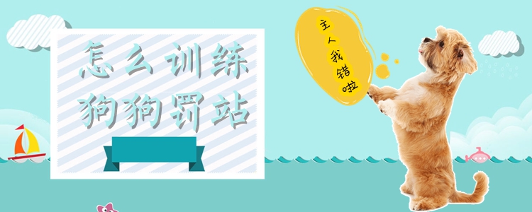 怎样练习狗狗罚站