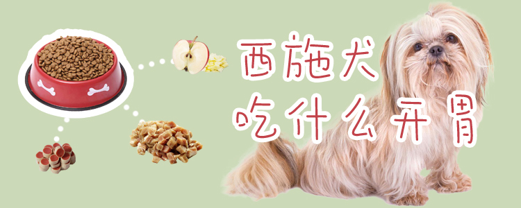 西施犬吃什么启胃
