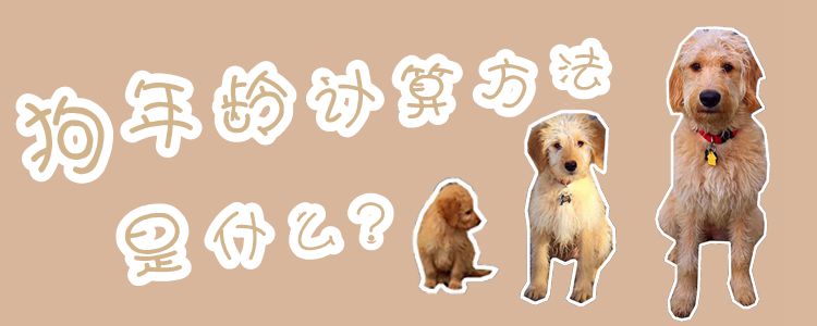 狗年纪估计方式是什么