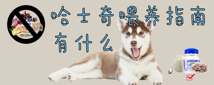 哈士奇豢养指南有什么