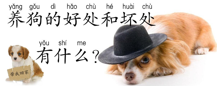 养狗的用处和缺点有什么