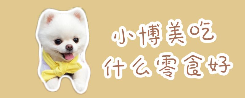 小博美吃什么零食佳