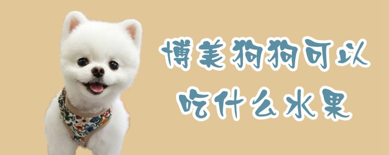 专美狗狗不妨吃什么生果