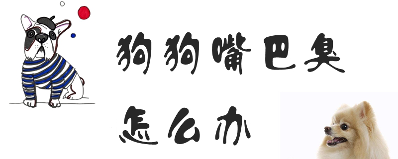 狗狗嘴巴臭怎样办
