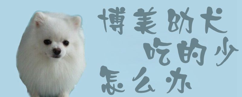 专美幼犬吃的少怎样办1