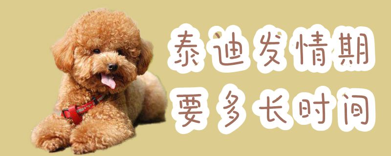 泰迪发情期要多万古间