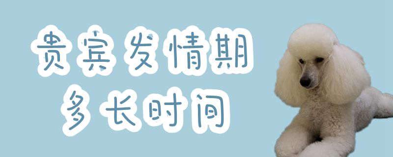 客人发情期多万古间