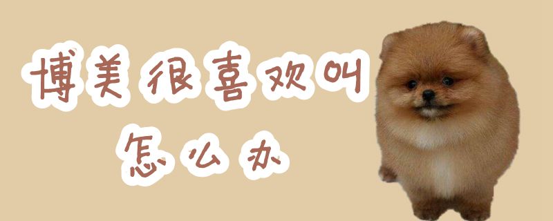 专美很喜佳喊怎样办