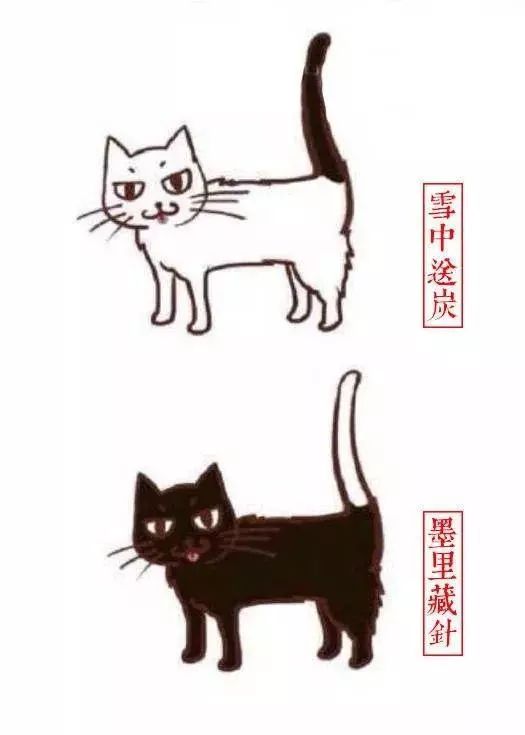 中国人最喜欢养的五种猫！你家主子入选了吗？(图4)
