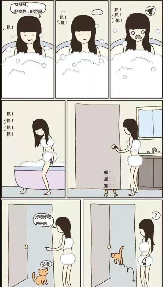 猫咪总在浴室外等你洗好澡，是因为好色吗？知道真相后我不禁笑了(图7)
