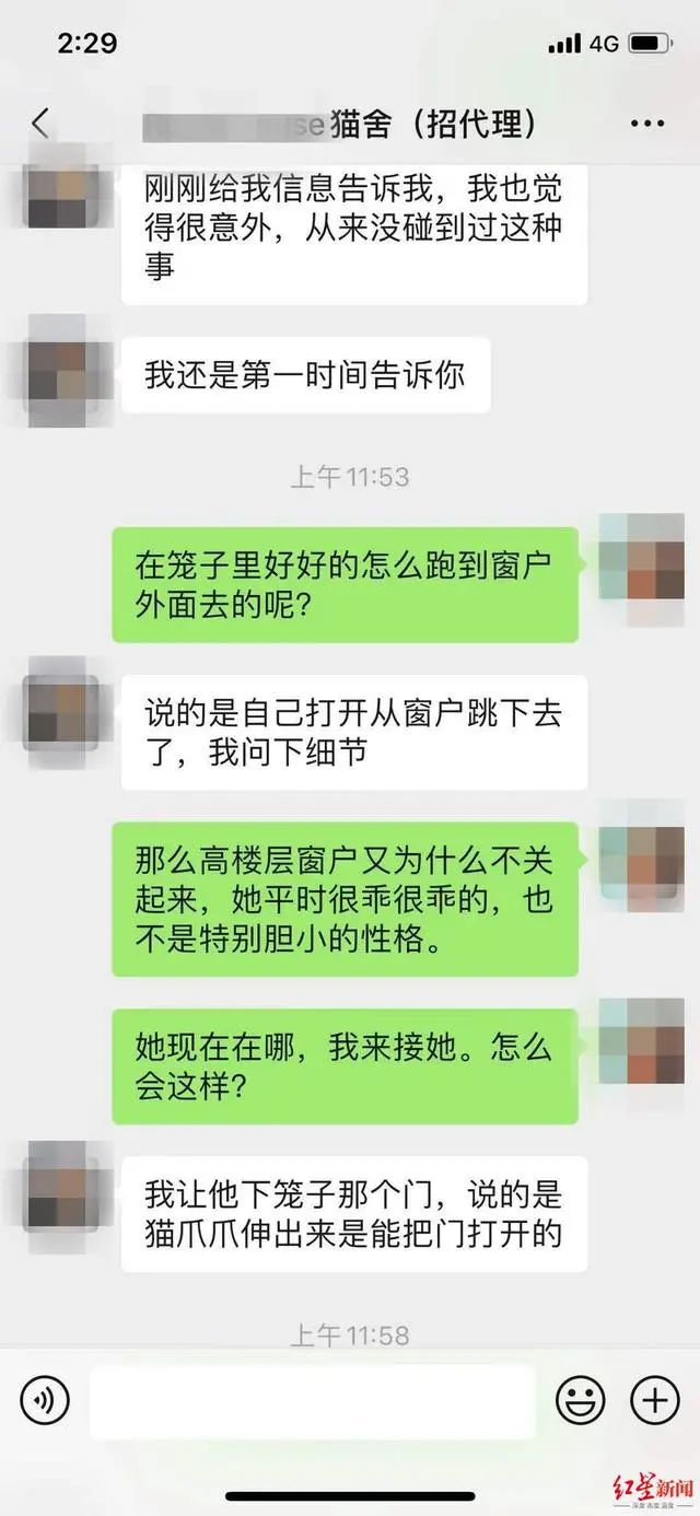 3万元布偶猫配种时跳楼死亡！做好一件事，猫狗寿命增加三成(图3)