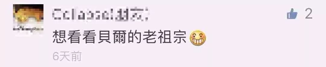 如果川普是豹纹守宫的教父级人物，那么贝尔简直是爬宠行业的标杆(图8)