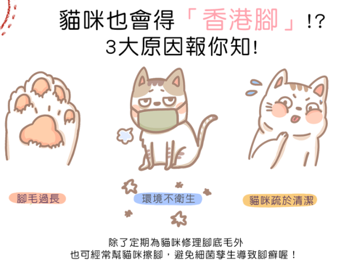 你家猫咪小肉垫是啥色？不仅萌还有这些秘密！按摩脚底让喵更健康(图9)