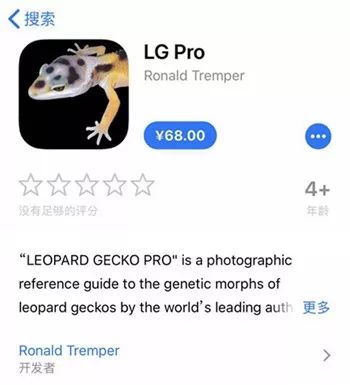 给大家看些好玩的，豹纹守宫中国派！(图16)