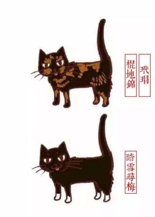 中国人最喜欢养的五种猫！你家主子入选了吗？(图6)