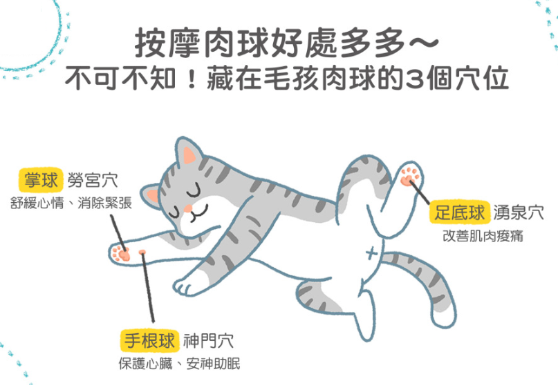 你家猫咪小肉垫是啥色？不仅萌还有这些秘密！按摩脚底让喵更健康(图10)
