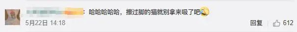 小姐姐亲猫，脸上竟长了「脚气」！养宠这些卫生问题千万别忽略(图6)
