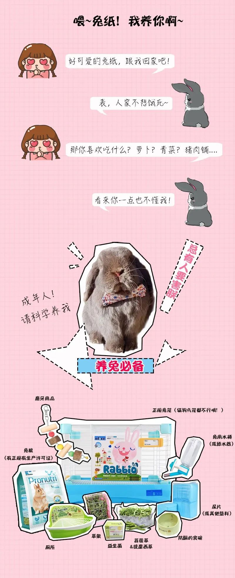 若你内心不够强大，千万不要去养兔子(图13)