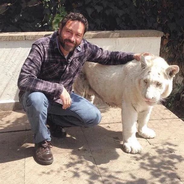 珊瑚蛇被野猫“剥皮”，手术很成功！但兽医的点评更值得赞赏(图10)