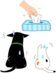 给猫「洗屁股」比洗澡更重要！猫做这沙雕动作时，要加倍注意(图5)