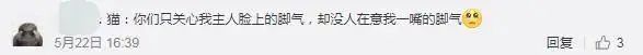 小姐姐亲猫，脸上竟长了「脚气」！养宠这些卫生问题千万别忽略(图5)