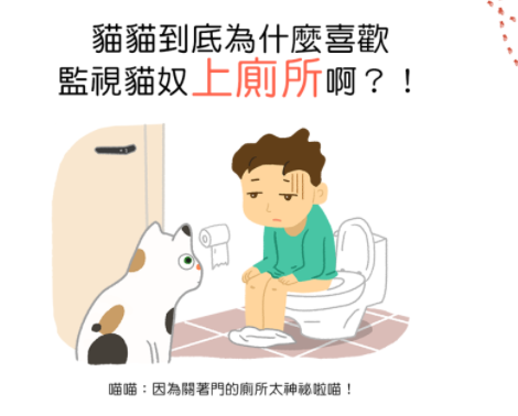 猫咪总在浴室外等你洗好澡，是因为好色吗？知道真相后我不禁笑了(图6)