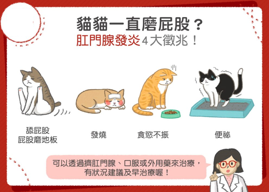 给猫「洗屁股」比洗澡更重要！猫做这沙雕动作时，要加倍注意(图4)
