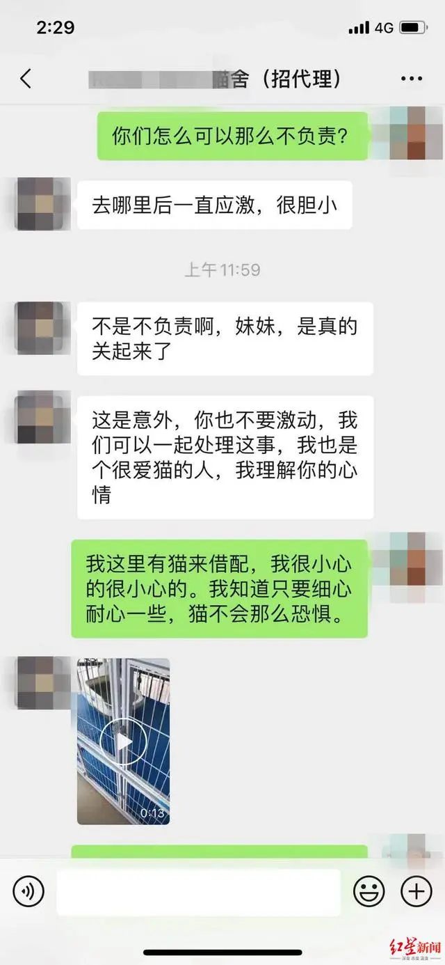 3万元布偶猫配种时跳楼死亡！做好一件事，猫狗寿命增加三成(图4)