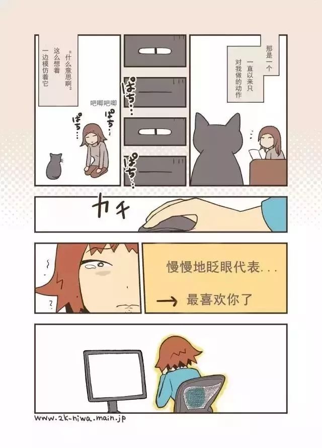 猫咪去世三年后，我才发现它也非常爱我！别错过这些猫咪爱的表示(图4)