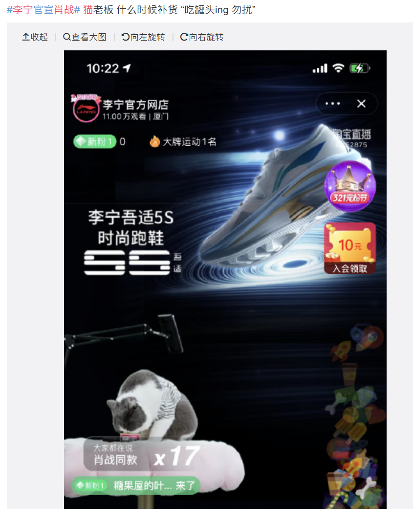肖战代言李宁，直播间却被猫咪吃罐头抢镜！新疆棉花也不如它软萌(图6)