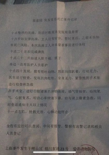 一周内两只猫外出洗澡，一死一伤！带猫去洗澡必须做好两件事(图4)