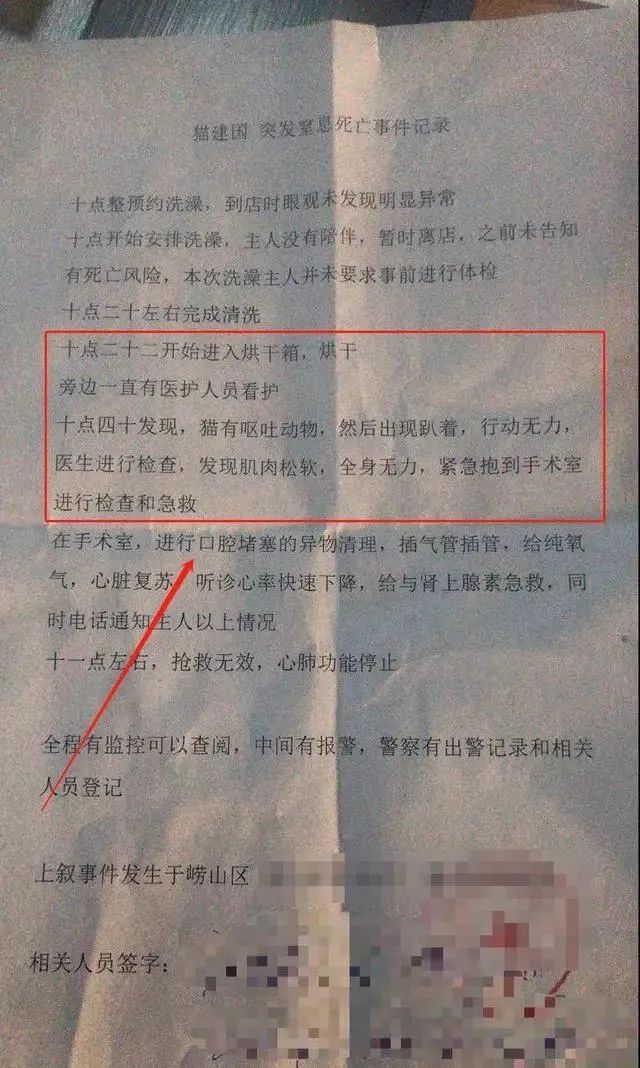 猫咪洗澡后这一步骤完全没必要！又有几只猫接连因此不幸死亡(图4)