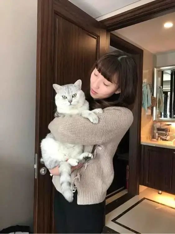 猫咪绝育后突然死亡，医院说是心脏?。±纯纯茨慵抑髯邮欠裼蟹缦?图5)