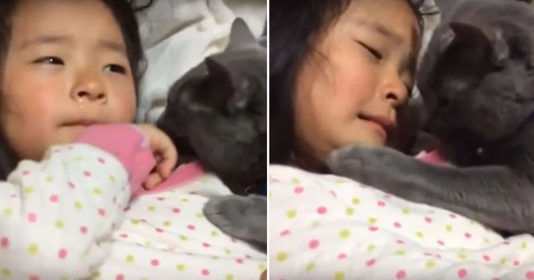 猫咪是不是有灵性？我生病了，猫就在身边安慰(图3)