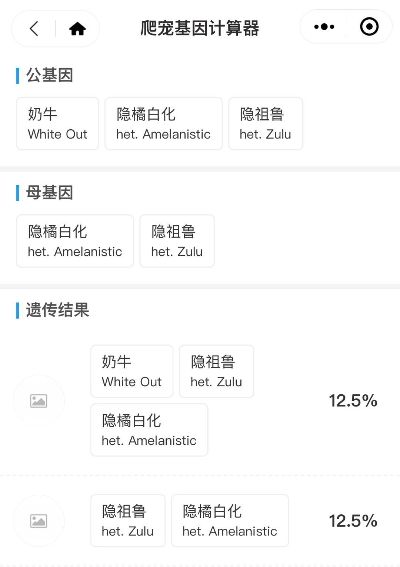 肥尾守宫恶魔白酒现身？想要神秘基因配方的看这里！(图18)