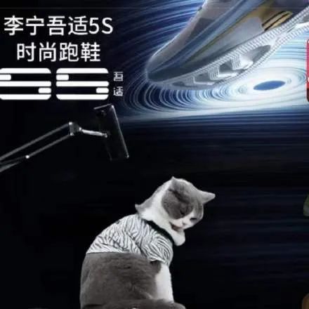肖战代言李宁，直播间却被猫咪吃罐头抢镜！新疆棉花也不如它软萌(图3)