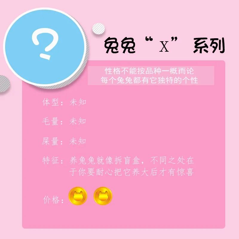 若你内心不够强大，千万不要去养兔子(图7)