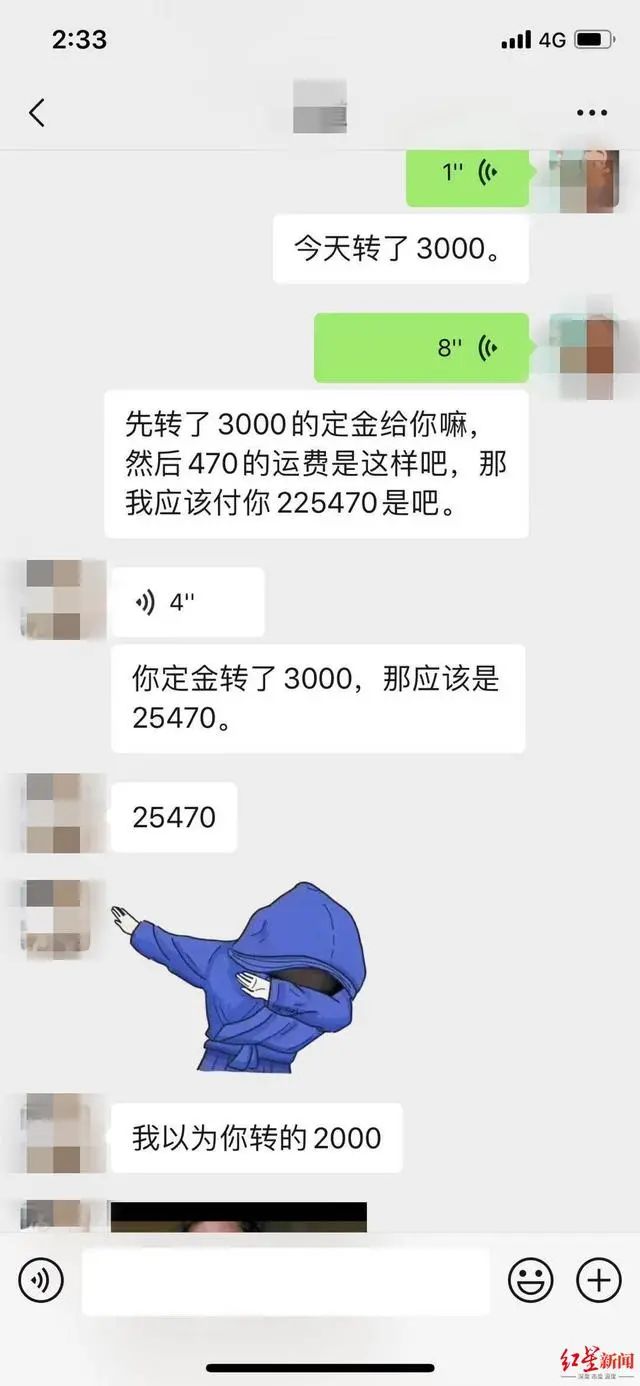 3万元布偶猫配种时跳楼死亡！做好一件事，猫狗寿命增加三成(图1)