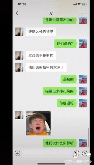 猫咪洗澡后这一步骤完全没必要！又有几只猫接连因此不幸死亡(图3)