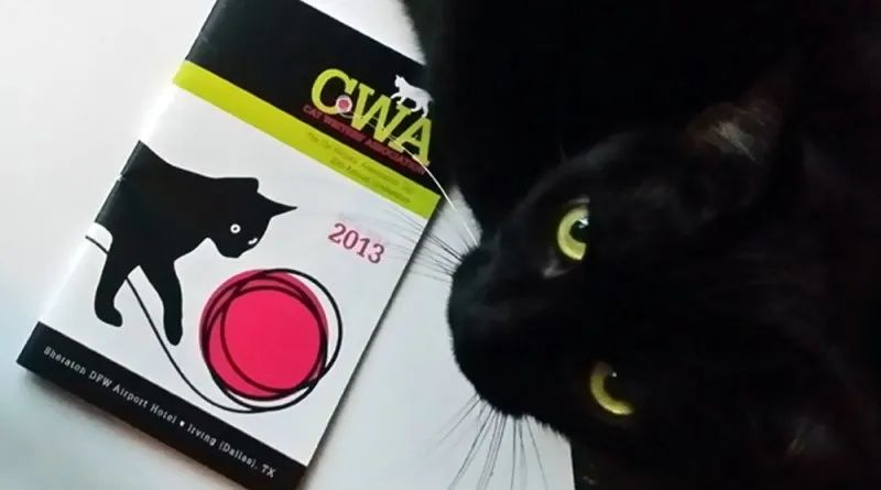 猫罐必须这样喂！开罐超过这时间别再吃，喂食小猫更要讲究(图3)