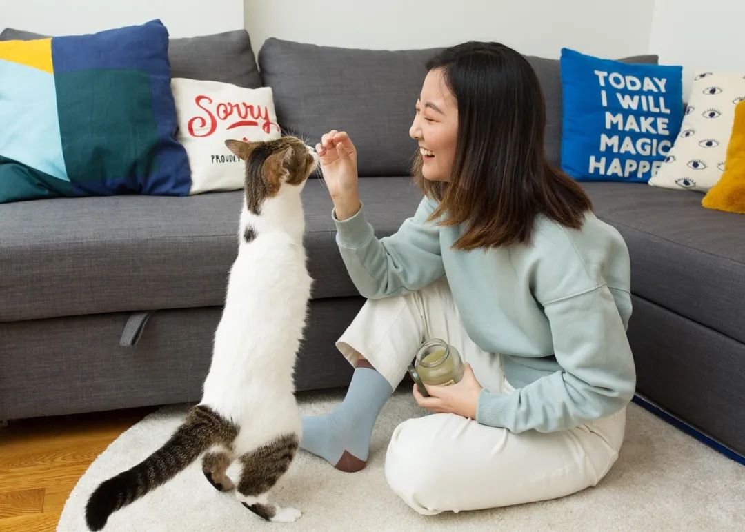 色咪咪？科研称猫咪更喜欢向少女卖萌！女性养一只猫有好处(图3)